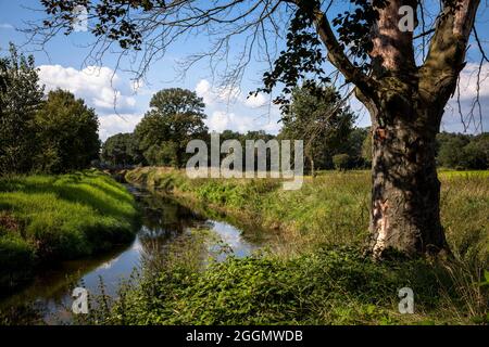 Il fiume Issel nei pressi di Wesel, regione del basso Reno, Renania settentrionale-Vestfalia, Germania. Die Issel bei Wesel, Niederrhein, Nordrhein-Westfalen, Germania. Foto Stock