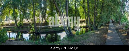 Fiume Gevora, la Codosera, Badajoz, Estremadura, Spagna. Posizione idilliaca di acque cristalline e foreste lungo il fiume Foto Stock