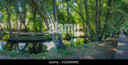 Fiume Gevora, la Codosera, Badajoz, Estremadura, Spagna. Posizione idilliaca di acque cristalline e foreste lungo il fiume Foto Stock