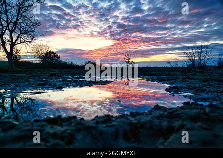 il tramonto drammatico si riflette in una pozzanghera, tra il fango e il tramonto sull'acqua. Sul sentiero del muro a Berlino, dove ora prati e campi sono, record Foto Stock