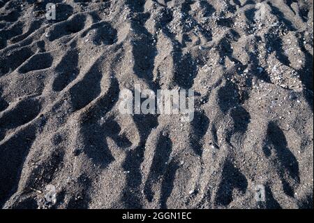 Spiaggia di sabbia con ombre. Vicino al mare. Foto Stock
