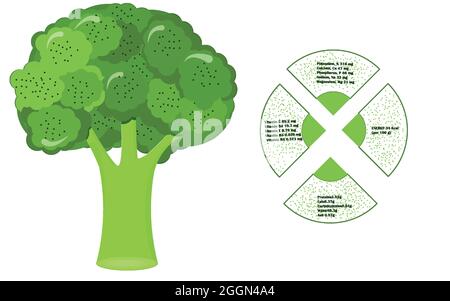 Infografica nutriente di broccoli vitamine alimento sano Illustrazione Vettoriale