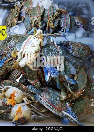 Granchi appena pescati con artigli legati sul bancone al mercato del pesce. Foto Stock