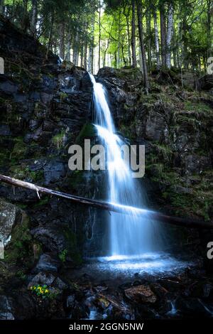 Una piccola cascata nella zona più nera della Germania Foto Stock