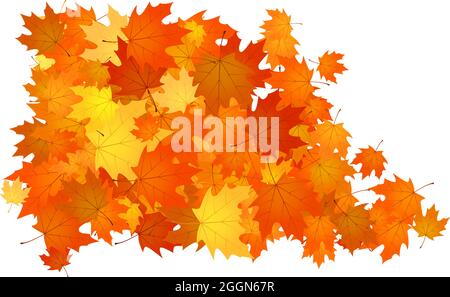 Mucchio di foglie cadute. Mucchio di foglie di autunno arancio, giallo e rosso. Illustrazione Vettoriale