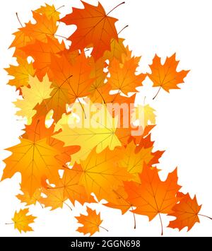 Mucchio di foglie cadute. Mucchio di foglie di autunno arancio, giallo e rosso. Illustrazione Vettoriale