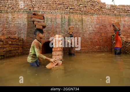 Un migrante del Bangladesh tiene blocchi di mattoni sopra la testa per trasportarlo sull'altro lato del fiume in un campo di mattoni a Dhaka. Circa 400,000 migranti a basso reddito arrivano a Dhaka ogni anno per lavorare a brickfields, nella fabbrica di mattoni milioni di mattoni vengono bruciati anche se questo influisce sull'ambiente in Bangladesh. Il 1 settembre 2021 a Munshiganj City, Bangladesh. (Foto di Harun-or-Rashid / Eyepix Group) Foto Stock