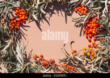 Sfondo autunnale di foglie e bacche d'arancia di fibbiacee di mare. Raccolta autunnale, antiossidante, vitamine. Uno spazio di copia vuoto. Vista dall'alto Foto Stock