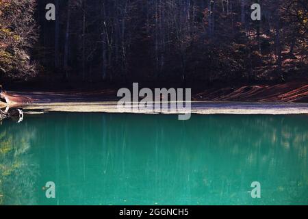 Buyuk Lago in Yedigoller National Park, città di Bolu, Turchia Foto Stock