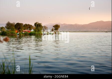 le querce crebbero sull'acqua tra l'erba accanto al lago marivan, iran. alberi e erba in foglia in estate contro un cielo tramonto, con acqua di lago al th Foto Stock