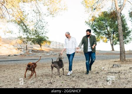 Coppia di uomini maturi ridendo e tenendo le mani camminare in natura in un pomeriggio autunnale mentre camminano con i loro cani Foto Stock