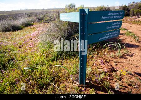 Cartello, Hantam National Botanical Gardens Foto Stock