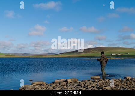 Pesca a mosca per trote brune, Isole Orkney Foto Stock