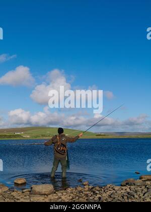 Pesca a mosca per trote brune, Isole Orkney Foto Stock