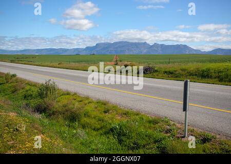 N7 e agricoltori campi verdi, montagne, Capo Occidentale, Sudafrica Foto Stock