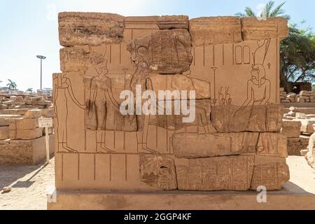 Geroglifici nelle rovine del tempio di Luxor, complesso di templi egizi situato nella città di Luxor, Tebe antica. In lingua egiziana è il kno Foto Stock