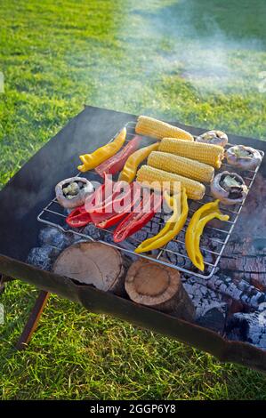 Verdure che cucinano su un barbecue Foto Stock