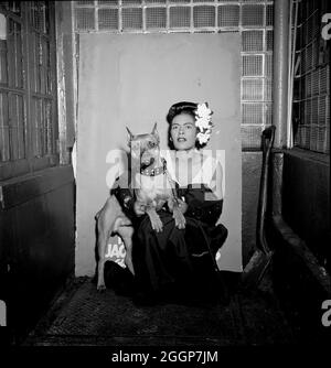 Cantante jazz americano Billie Holiday (1915-1959). Foto Stock