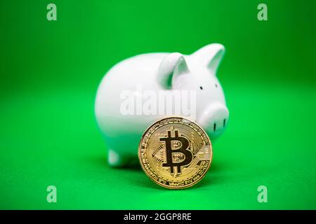 Banca di Piggy bianca su sfondo giallo e una moneta di bitcoin d'oro. Per il piano di risparmio di mantenere il denaro e la cripto valuta in futuro. Foto Stock