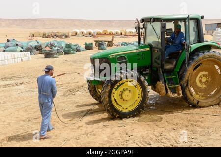 EGITTO, Farafra, coltivazione di patate nel deserto, lavaggio del trattore / AEGYPTEN, Farafra, United Farms, Kartoffelanbau in der Wueste, Traktor Waesche Foto Stock