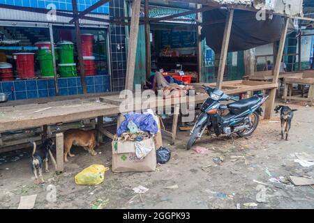 IQUITOS, PERÙ - 18 GIUGNO 2015: L'uomo circondato da cani randagi dorme in un mercato di Belen a Iquitos Foto Stock