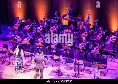 MANAUS, BRASILE - 26 LUGLIO 2015: Musicisti suonano al Teatro Amazonas, famoso edificio teatrale di Manaus, Brasile Foto Stock