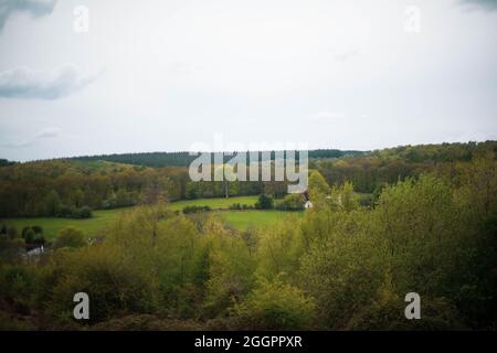 Parkend, Foresta di Dean, estate 2021. Foto Stock