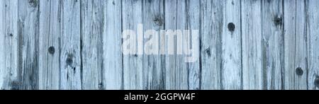 Vecchia parete di legno fatta di assi verticali screpolati bluastri Foto Stock