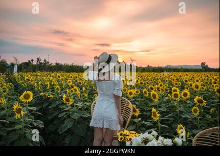 Retro della giovane donna asiatica allegra in piedi nel campo di girasole al tramonto Foto Stock