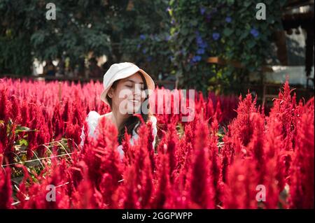 Bella giovane donna asiatica seduta con godendo in cockscomb giardino di fiori rossi Foto Stock