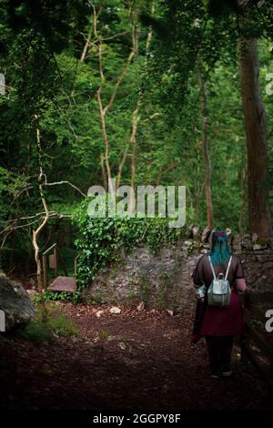 Symonds Yat, Forest of Dean, Gloucestershire Foto Stock