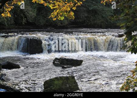 Aysgarth Falls Foto Stock