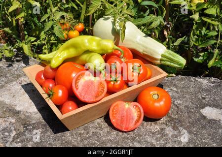 pomodori rossi peperoni e zucchine in scatola di legno Foto Stock