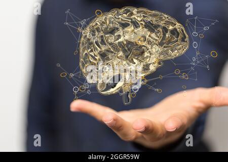 rappresentazione 3d del cervello di illustrazione accurata dal punto di vista medico Foto Stock