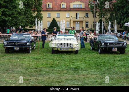 DIEDERSDORF, GERMANIA - 21 AGOSTO 2021: Le iconiche vetture sportive Ford Mustang di prima generazione in piedi di fila. La mostra "US Car Classics" Foto Stock