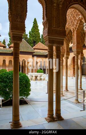 Patio dei Lions nell'Alhambra a Granada in Spagna Foto Stock