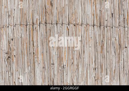 Paglia, corda o bastone asciutto astratto motivo naturale texture sfondo. Foto Stock