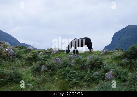Vacanza vista sud ovest Irlanda Eire Foto Stock