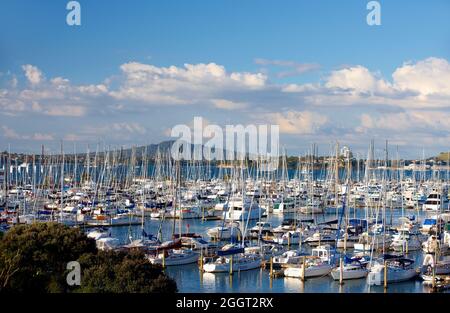 Westhaven Marina di Auckland, Nuova Zelanda Foto Stock