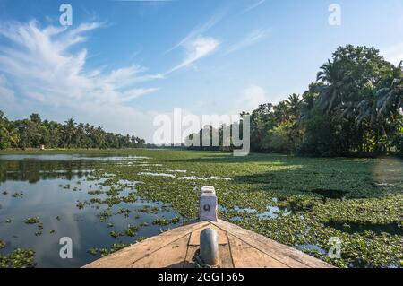 Il naso della barca che galleggia sul fiume è cresciuto di piante verdi. Il bellissimo paesaggio del backwaters in Alleppey Kerala, India Foto Stock