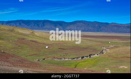 Campo di Yurt bianco. Ci sono pecore, mucche, e una crepa nel prato. Colourful Beach (Rainbow Beach), Burqin Yadan Landform, Irtysh River, Xinjiang, Cina Foto Stock
