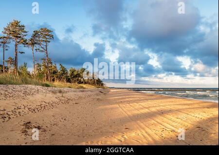 Bella spiaggia di sabbia sul Mar Baltico, vista verso la città di Darłowo. Dune coperte di erbe e pinete, ombre mattutine sulla spiaggia Foto Stock