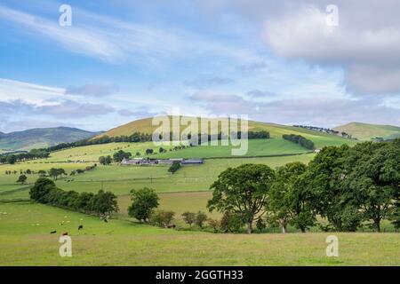 Campagna scozzese in estate. Peebleshire, Scottish Borders, Scozia Foto Stock