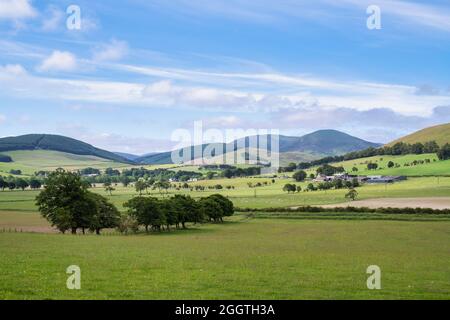 Campagna scozzese in estate. Peebleshire, Scottish Borders, Scozia Foto Stock