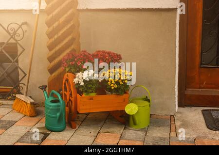 Brillante composizione di crisantemi in un giardino d'autunno. Foto Stock