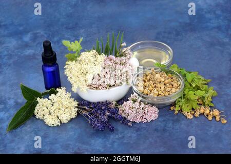 Erbe curative di valeriana, lavanda, elderflower e camomilla utilizzate nella preparazione di erbe naturali medicina. È un sedativo per trattare l'ansia. Foto Stock