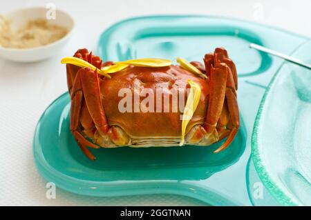 Granchi freschi e pelosi dal lago Yangcheng Foto Stock