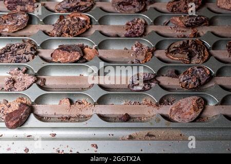 Fagioli di cioccolato in una fabbrica di cioccolato. Controllare la qualità dei chicchi, il passo successivo è la preparazione del cioccolato. Foto di alta qualità Foto Stock