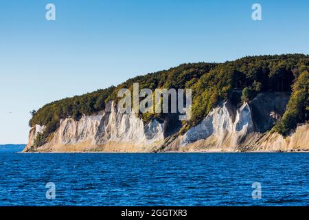 chalk costa con faggeta, Jasmund National Park, Germania, Meclemburgo-Pomerania occidentale, Ruegen Foto Stock