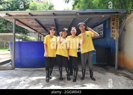 (210903) -- HAIKOU, 3 settembre 2021 (Xinhua) -- i volontari posano per una foto di gruppo dopo una giornata di servizio presso la "stazione di pronto soccorso della tartaruga" dell'Università normale di Hainan a Haikou, nella provincia di Hainan nella Cina meridionale, il 27 agosto 2021. Fondata nel 2013, la "stazione di pronto soccorso delle tartarughe" dell'Università normale di Hainan è stata dedicata all'aiuto alle tartarughe in condizioni di bisogno e alla sensibilizzazione della gente sulla protezione delle tartarughe. Gestita da più di 30 volontari di biologia e da major collegati in tutta l'università, questa stazione cura e riabilita le tartarughe. I volontari hanno detto che si sentono ben pagati per il loro arduo lavoro quando Foto Stock